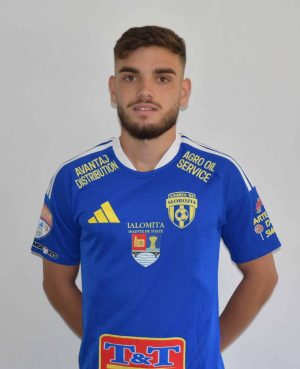 Robert-Necsulescu